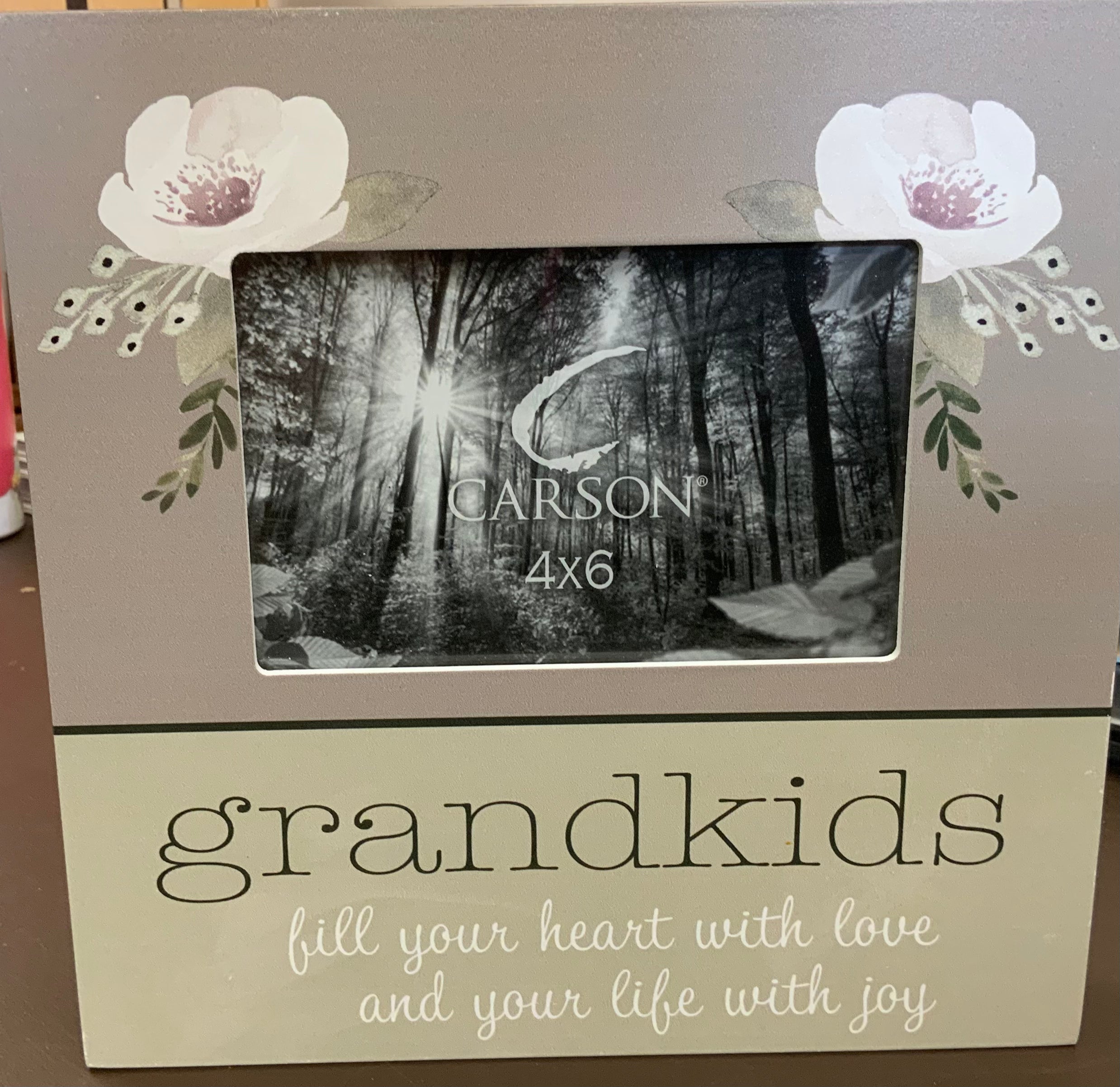 Grandkids frame