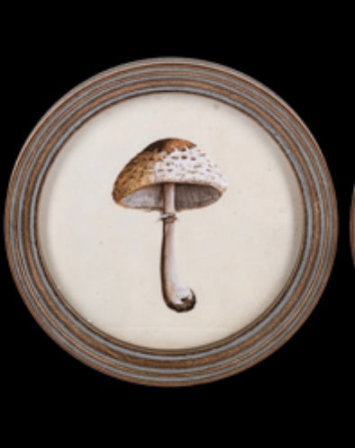 Round framed mushroom wall art