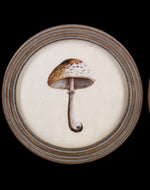 Load image into Gallery viewer, Round framed mushroom wall art
