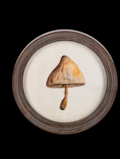 Round framed mushroom wall art