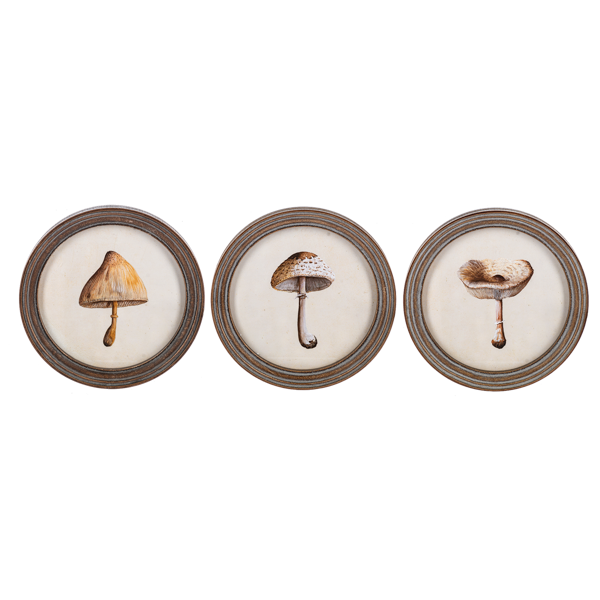 Round framed mushroom wall art