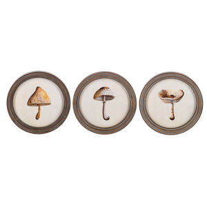 Round framed mushroom wall art