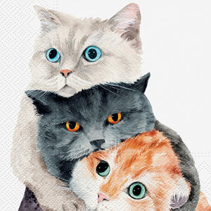 Better Together cat napkins