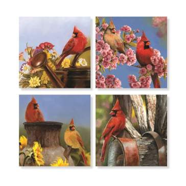 Cardinal coasters