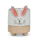 Load image into Gallery viewer, Bunny with Ears Planter

