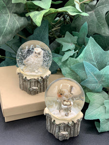 Small Bird Snowglobes