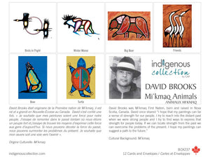 Boxed Card set - Indigenous Collection by CAP