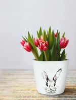 Load image into Gallery viewer, Rabbit Planters

