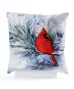LED cardinal cushion